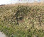 Septictank